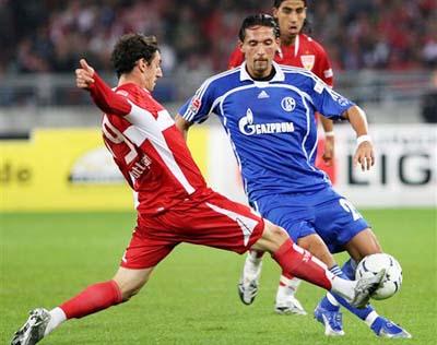 中国游泳队 中国游泳队